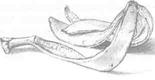 Nanny Ogg's Cookbook-18.jpg